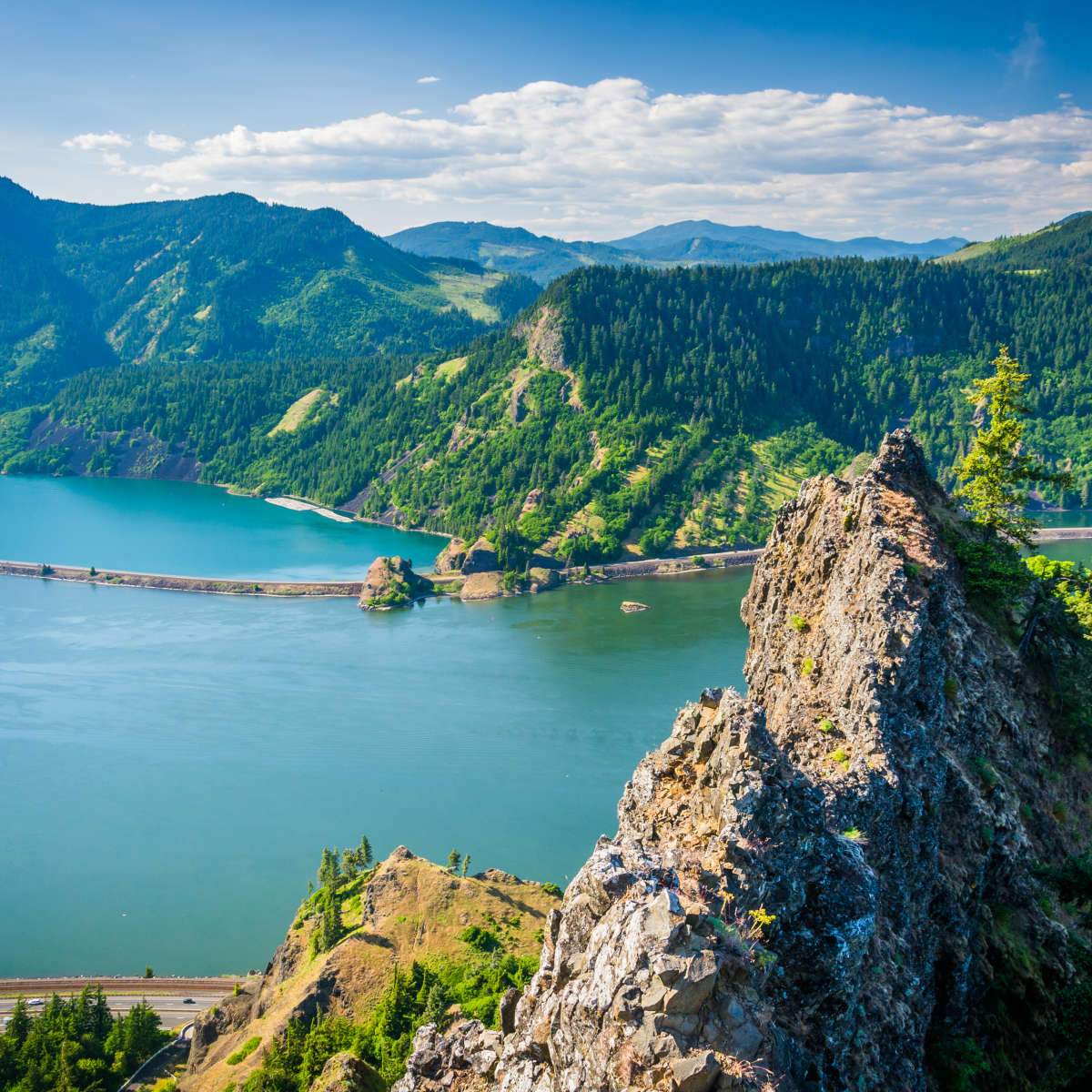 Columbia River Wall Art