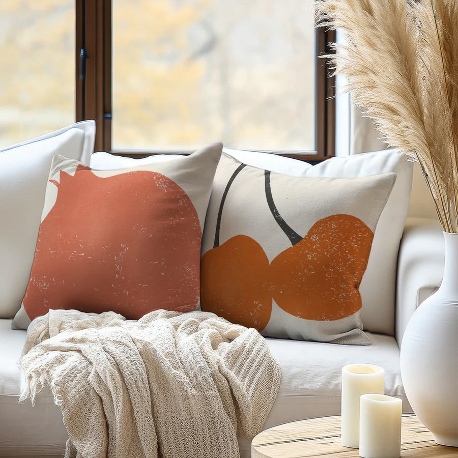 how to wash throw pillows in washing machine