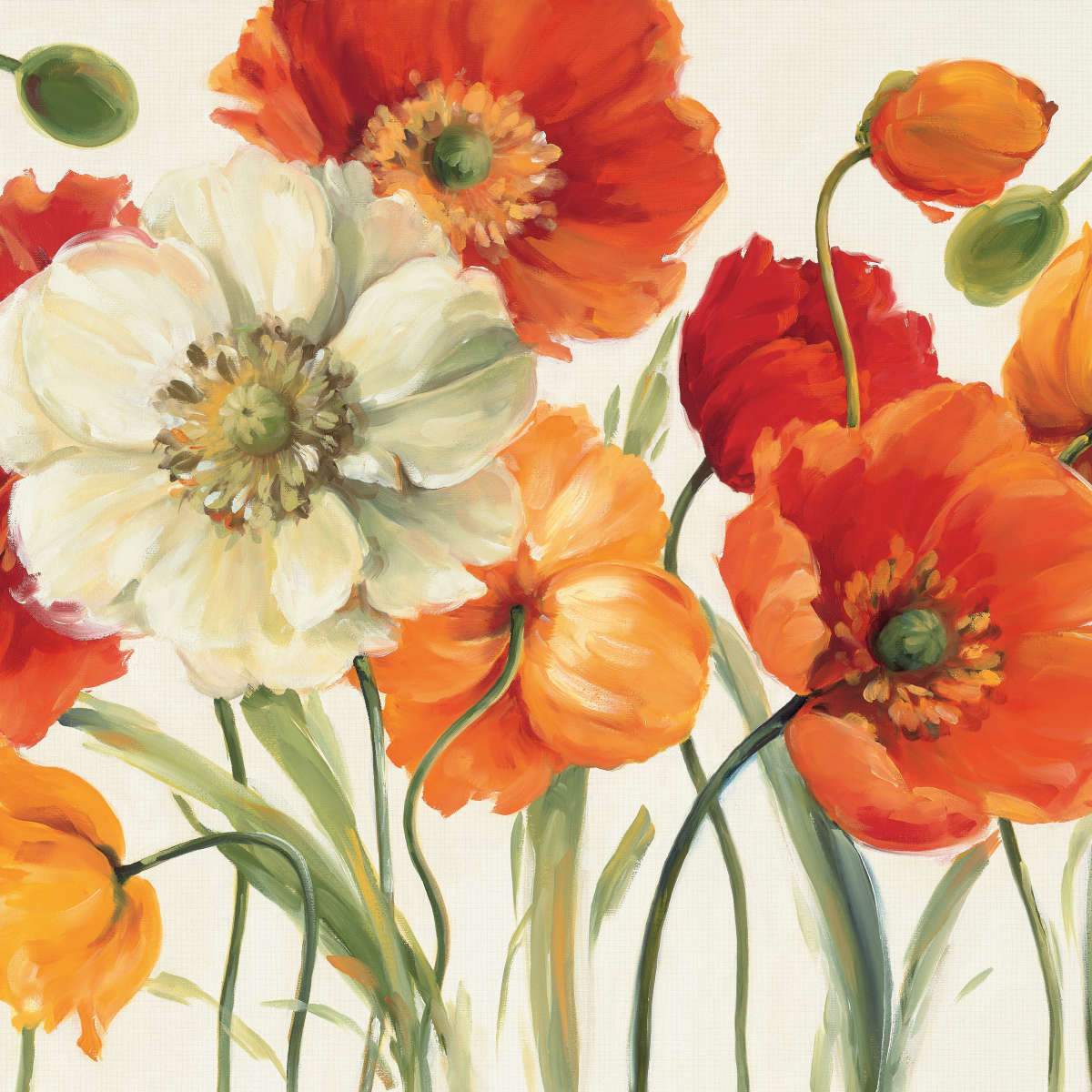 Poppies Wall Art
