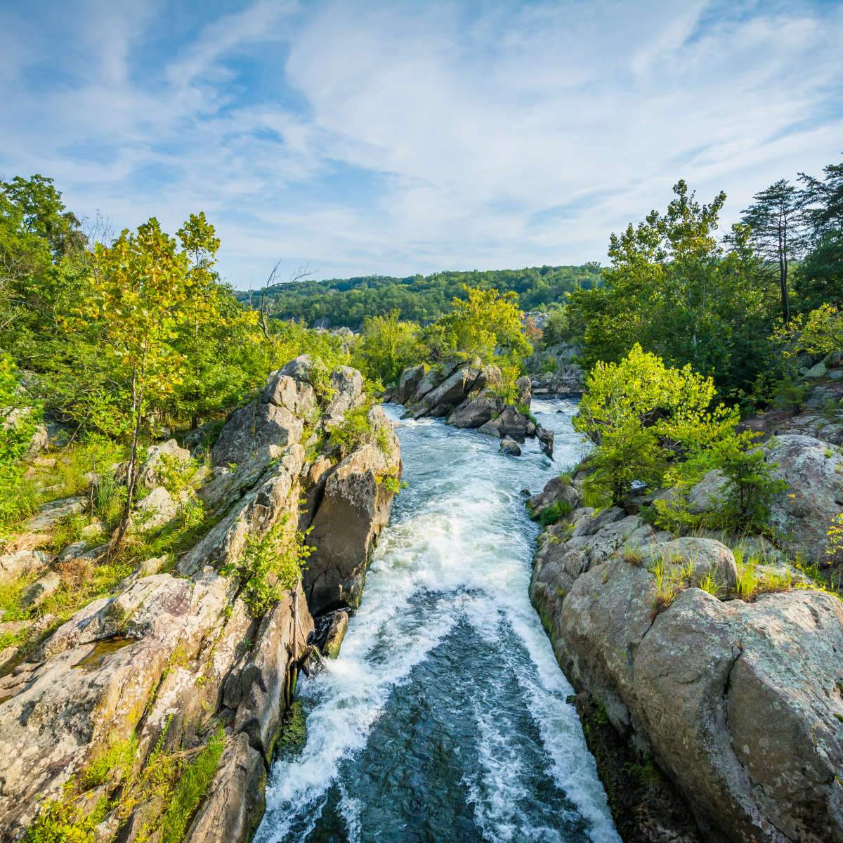 Potomac River Wall Art