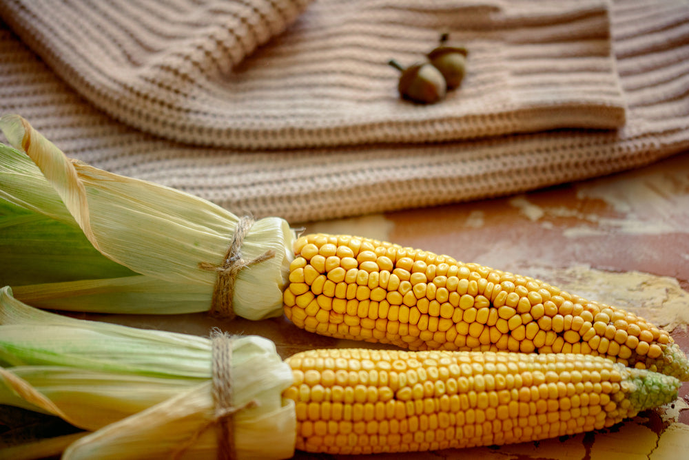 Autumn decoration ideas