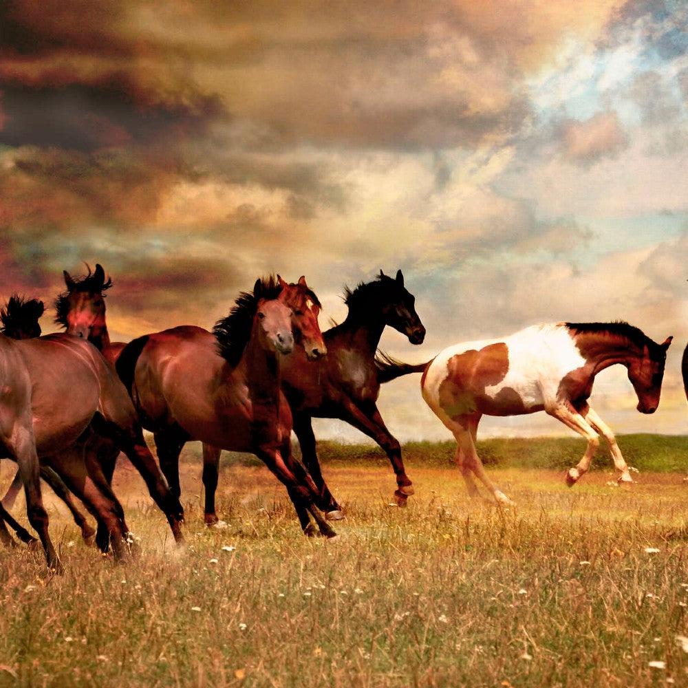 Surrealism and Spirituality: Jo Walsh