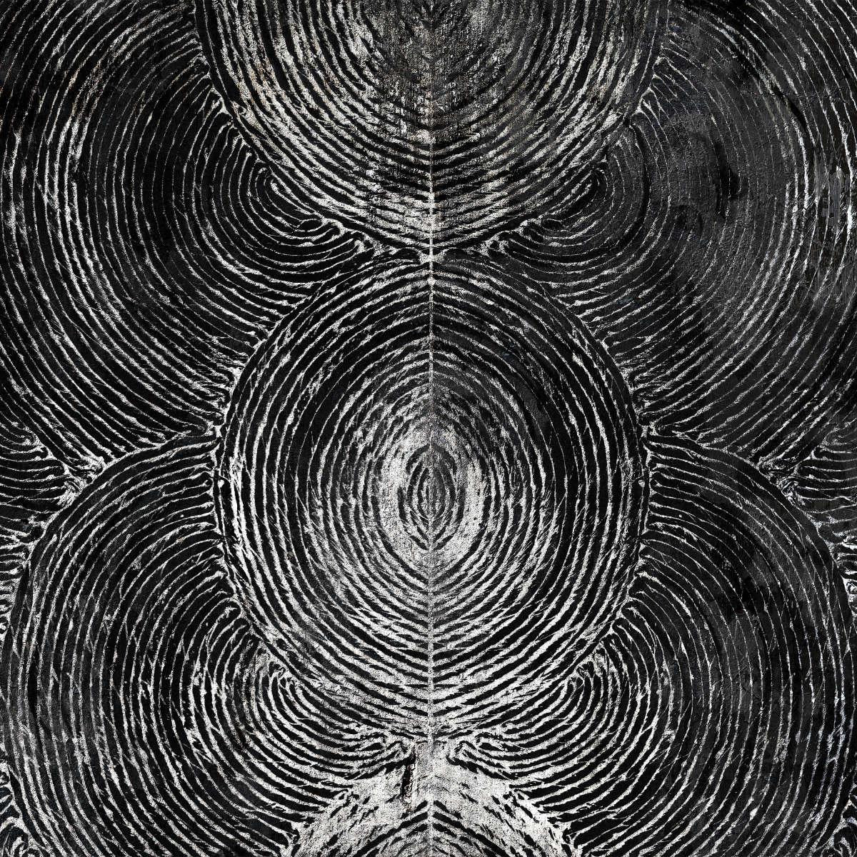 Timeless Abstract Wall Art