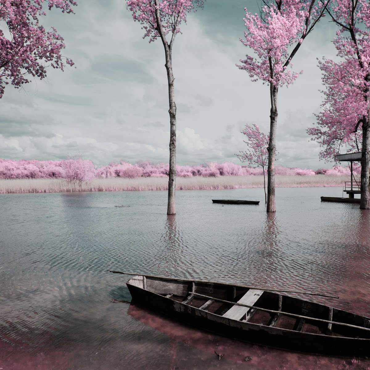 Water Transportation Wall Art